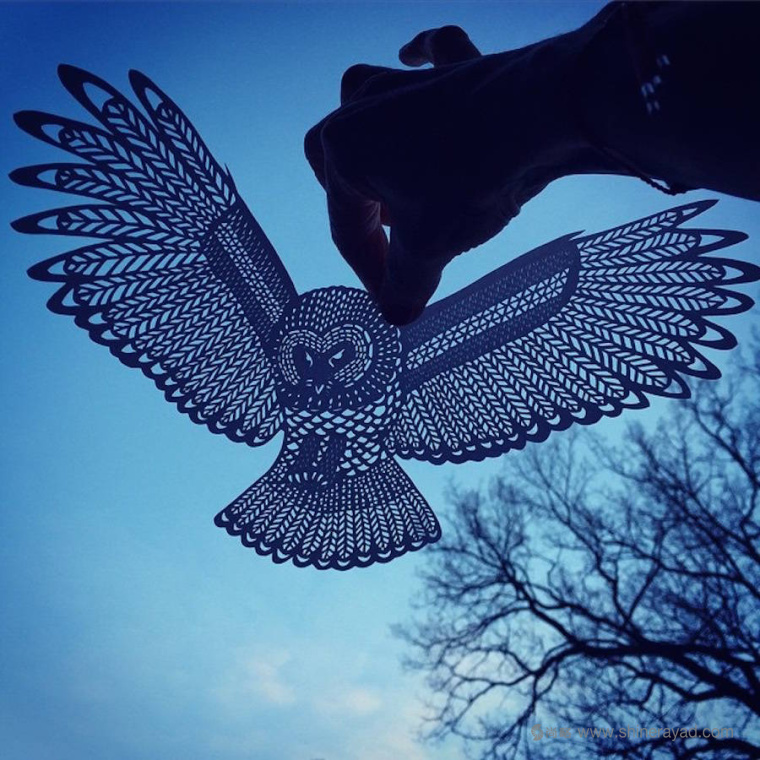 老鷹-動(dòng)物剪紙藝術(shù)與剪紙攝影圖片-上海平面設(shè)計(jì)公司創(chuàng)意藝術(shù)鑒賞1