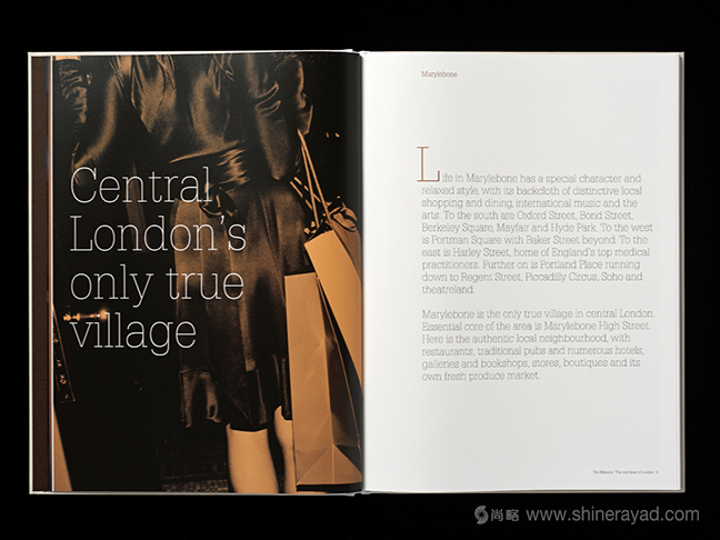 Mansion 豪宅公寓地產(chǎn)品牌VI形象設(shè)計(jì)-樓書(shū)畫(huà)冊(cè)設(shè)計(jì)7