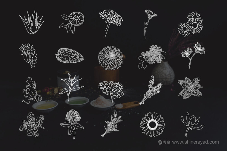 自然水彩插畫風(fēng)格 Hippie 美容護(hù)膚品包裝設(shè)計(jì)-ICON圖標(biāo)設(shè)計(jì)1 自然水彩插畫風(fēng)格 Hippie 美容護(hù)膚品包裝設(shè)計(jì)-ICON圖標(biāo)設(shè)計(jì)1