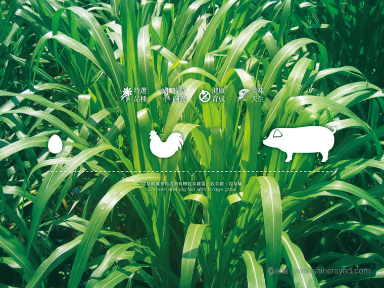 福壽生態(tài)牧場雞蛋豬肉包裝設計-上海包裝設計公司1