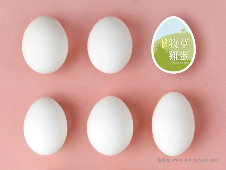 福壽生態(tài)牧場雞蛋包裝設(shè)計(jì)-上海包裝設(shè)計(jì)公司3