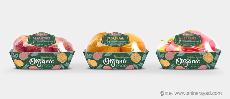 二維插畫(huà)風(fēng)格 Organic Food 有機(jī)食品蔬菜水果包裝設(shè)計(jì)-上海農(nóng)產(chǎn)品包裝設(shè)計(jì)公司4