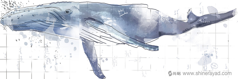 紡織品抱枕藍鯨水彩插畫設計-上海平面設計公司4