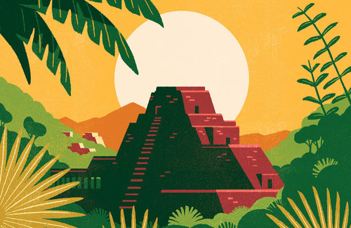 Archer Farms 盒裝咖啡包裝設(shè)計(jì)矢量插畫設(shè)計(jì)-上海包裝設(shè)計(jì)公司16 Archer Farms 盒裝咖啡包裝設(shè)計(jì)矢量插畫設(shè)計(jì)-上海包裝設(shè)計(jì)公司16