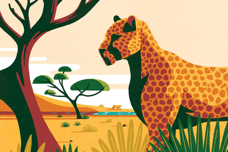 Archer Farms 盒裝咖啡包裝設(shè)計(jì)矢量插畫設(shè)計(jì)-上海包裝設(shè)計(jì)公司18 Archer Farms 盒裝咖啡包裝設(shè)計(jì)矢量插畫設(shè)計(jì)-上海包裝設(shè)計(jì)公司18