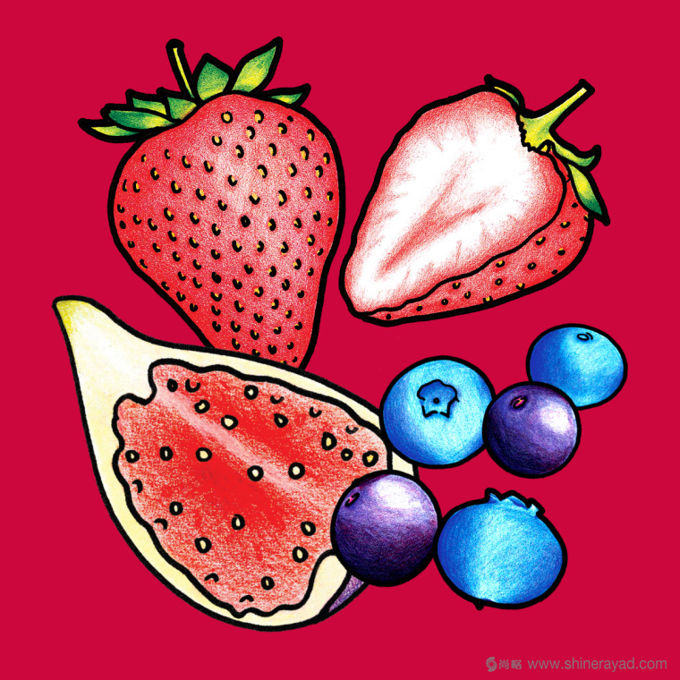 Figgin’ Fruit 無(wú)花果餅干包裝設(shè)計(jì)船長(zhǎng)人物水果插畫設(shè)計(jì)篇-上海食品包裝設(shè)計(jì)公司7 Figgin’ Fruit 無(wú)花果餅干包裝設(shè)計(jì)船長(zhǎng)人物水果插畫設(shè)計(jì)篇-上海食品包裝設(shè)計(jì)公司7