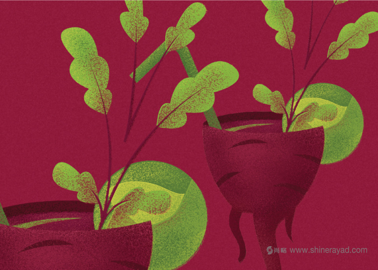 Borshch 咖啡館lVI形象設計蔬菜植物插畫設計-上海VI設計公司-上海餐飲品牌設計公司