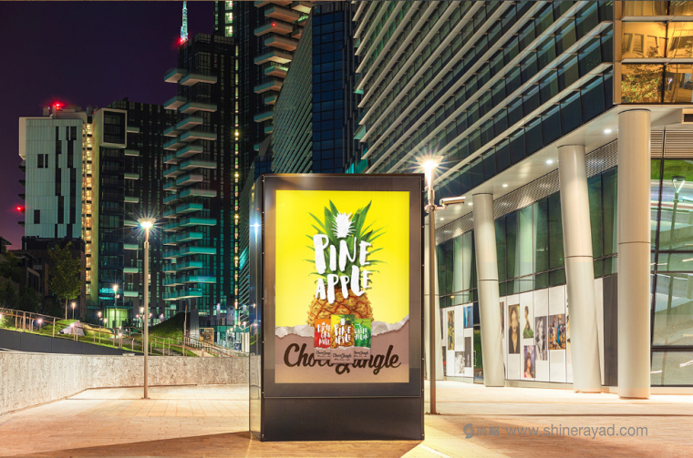 水果特寫插畫風(fēng)格 Choco Jungle 巧克力包裝設(shè)計-上海包裝設(shè)計公司