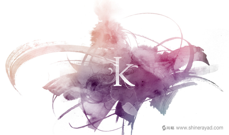 KONSTANTIN博士面部美容整形醫(yī)院logo設(shè)計(jì)品牌VI形象設(shè)計(jì)