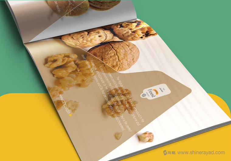 上海畫冊(cè)設(shè)計(jì)公司設(shè)計(jì)欣賞-高大上水果干果農(nóng)產(chǎn)品品牌宣傳畫冊(cè)設(shè)計(jì)5