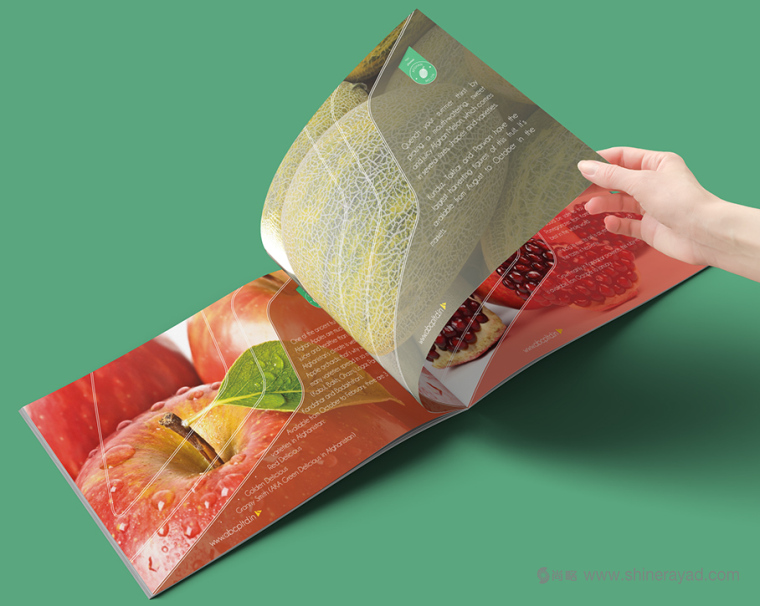 上海畫冊(cè)設(shè)計(jì)公司設(shè)計(jì)欣賞-高大上水果干果農(nóng)產(chǎn)品品牌宣傳畫冊(cè)設(shè)計(jì)4