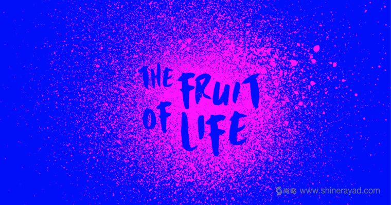 大面積水果插畫加留白版式的Splendid 果汁飲料包裝設(shè)計(jì)作品欣賞