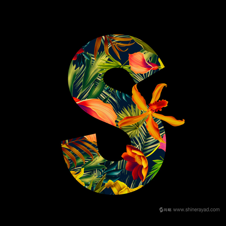 大面積水果插畫加留白版式的Splendid 果汁飲料包裝設(shè)計(jì)作品欣賞