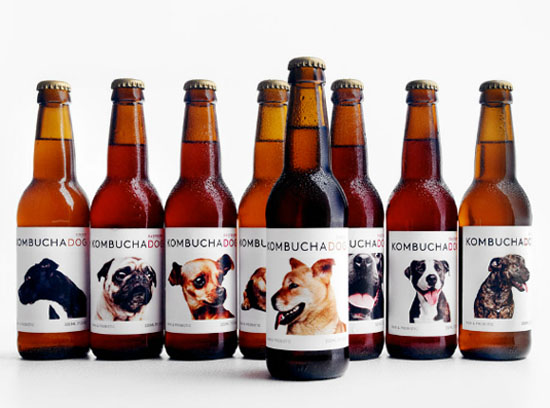 Kombucha Dog 狗表情啤酒包裝設(shè)計(jì)-9個(gè)出奇制勝的瘋狂創(chuàng)意包裝設(shè)計(jì)欣賞-上海包裝設(shè)計(jì)公司