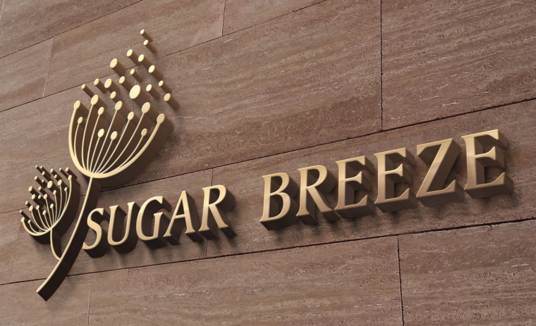 棠楓餐飲品牌設(shè)計-LOGO設(shè)計-上海品牌設(shè)計公司1