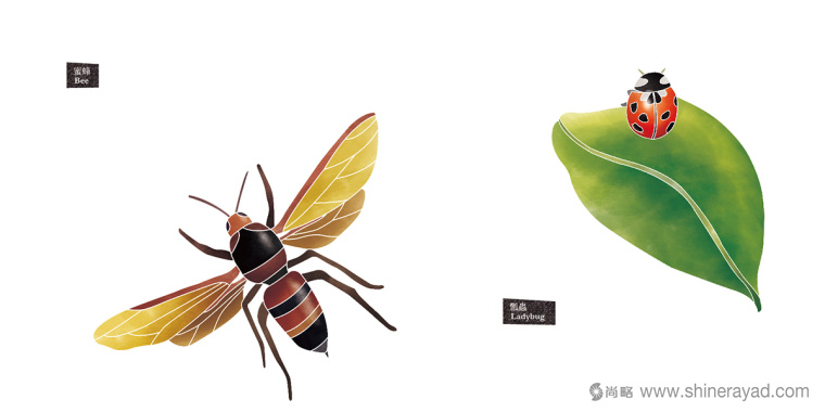 Rosehill 面膜包裝插畫設(shè)計(jì)-淡涼蘭花 蜜蜂-上海化妝品包裝設(shè)計(jì)公司7 Rosehill 面膜包裝插畫設(shè)計(jì)-淡涼蘭花 蜜蜂-上?;瘖y品包裝設(shè)計(jì)公司7