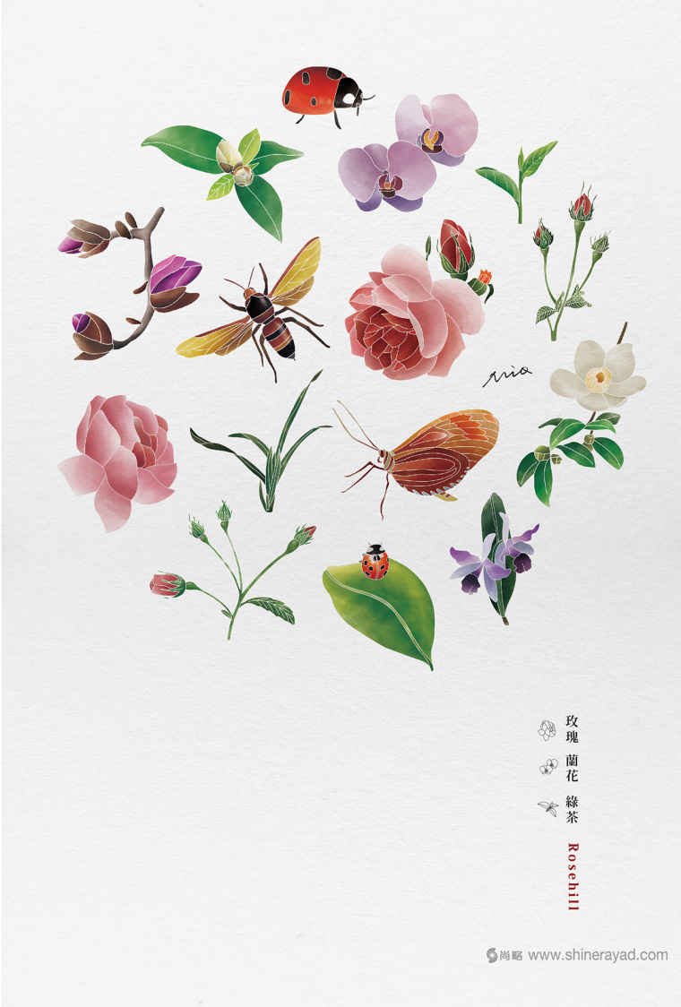 Rosehill 面膜包裝插畫設(shè)計(jì)-上海化妝品包裝設(shè)計(jì)公司4 Rosehill 面膜包裝插畫設(shè)計(jì)-上?;瘖y品包裝設(shè)計(jì)公司4