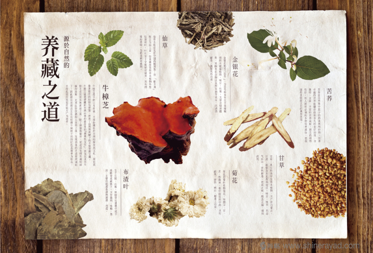 瀟樂壽苷樟芝涼茶宣傳單頁-上海品牌策劃公司3 瀟樂壽苷樟芝涼茶宣傳單頁-上海品牌策劃公司3