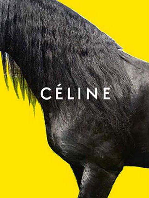 席琳冬季2016廣告--上海品牌策劃公司-上海營(yíng)銷(xiāo)策劃公司