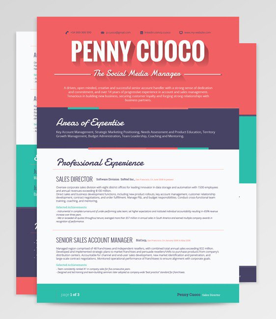 50個精美簡歷設(shè)計靈感模版-上海尚略品牌策劃設(shè)計公司