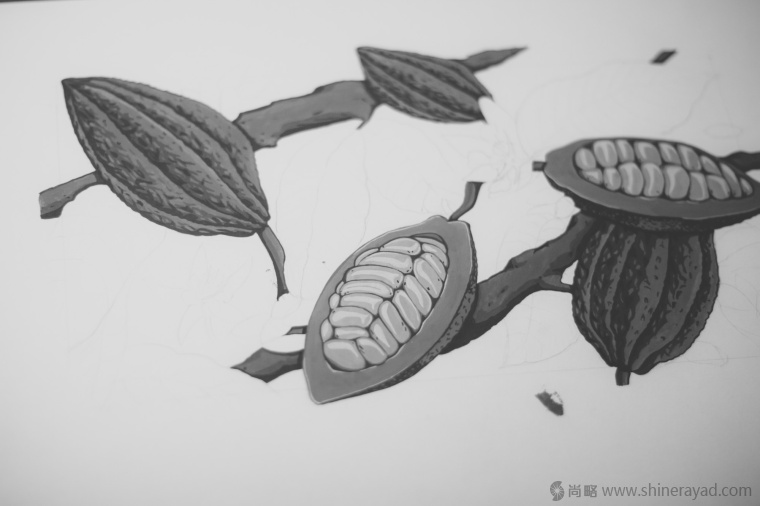 國(guó)外手繪植物花卉插畫(huà)風(fēng)格洋酒包裝設(shè)計(jì)-curio杜松子酒和伏特加酒包裝設(shè)計(jì)4 國(guó)外手繪植物花卉插畫(huà)風(fēng)格洋酒包裝設(shè)計(jì)-curio杜松子酒和伏特加酒包裝設(shè)計(jì)4