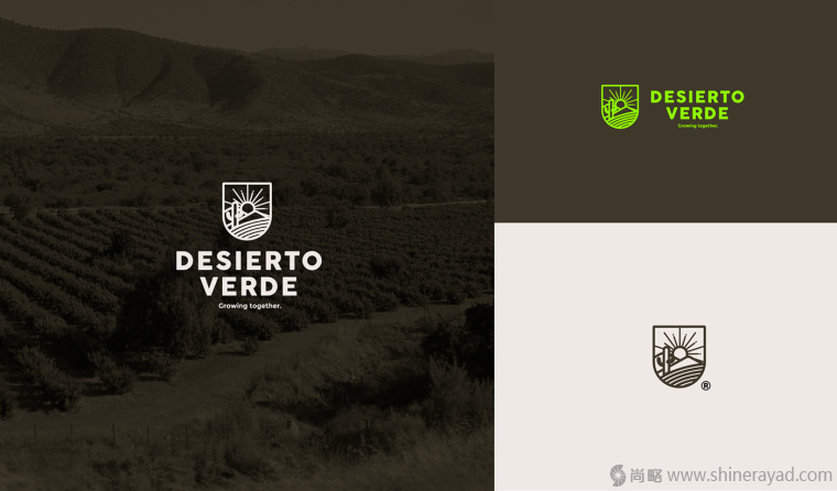 Desierto Verde 有機農產品品品牌LOGO設計-上海LOGO設計公司3