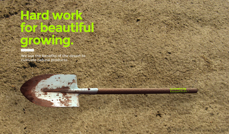 Desierto Verde 有機農產品品品牌LOGO設計-上海LOGO設計公司6