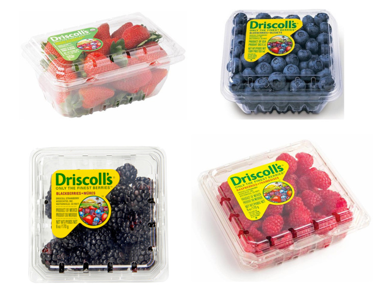 Driscoll''s 漿果新品牌形象設(shè)計草莓藍(lán)莓樹莓黑莓水果農(nóng)產(chǎn)品新包裝設(shè)計-上海包裝設(shè)計公司