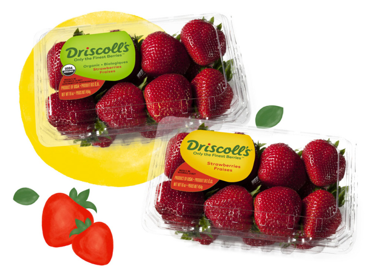 Driscoll''''s 漿果草莓藍(lán)莓樹莓黑莓水果農(nóng)產(chǎn)品新包裝設(shè)計-上海包裝設(shè)計公司