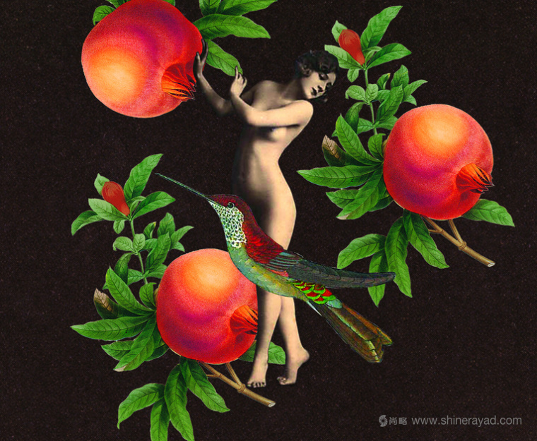 Coco De Mer 情趣性用品性玩具成人用品包裝設(shè)計插畫-上海包裝設(shè)計公司 Coco De Mer 情趣性用品性玩具成人用品包裝設(shè)計插畫-上海包裝設(shè)計公司