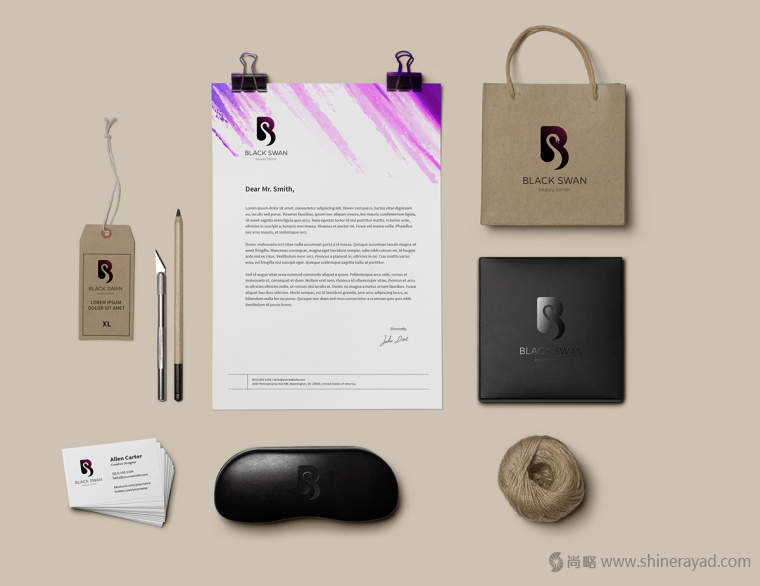 上海LOGO設(shè)計公司欣賞——黑天鵝美容中心美容店LOGO設(shè)計5