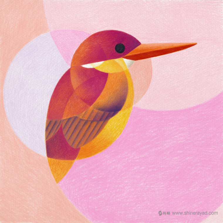 幾何矢量鳥類插畫設(shè)計-上海品牌形象設(shè)計公司4