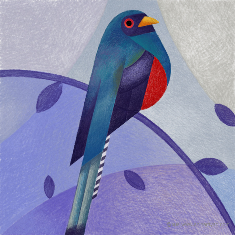 幾何矢量鳥類插畫設(shè)計-上海品牌形象設(shè)計公司7