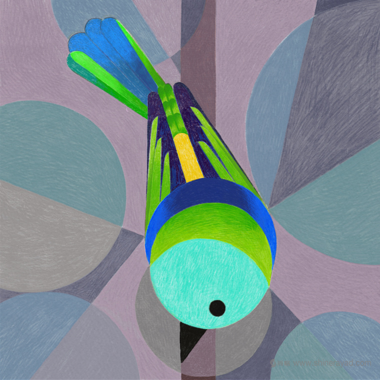 幾何矢量鳥類插畫設(shè)計-上海品牌形象設(shè)計公司8