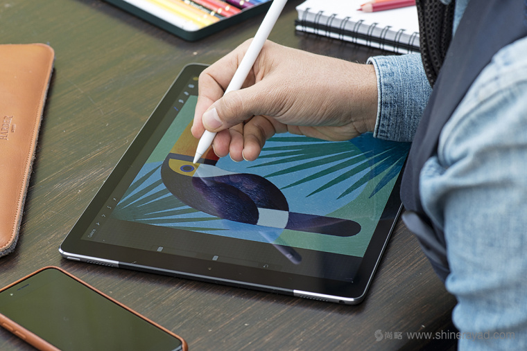 幾何矢量鳥類插畫設(shè)計-上海品牌形象設(shè)計公司11