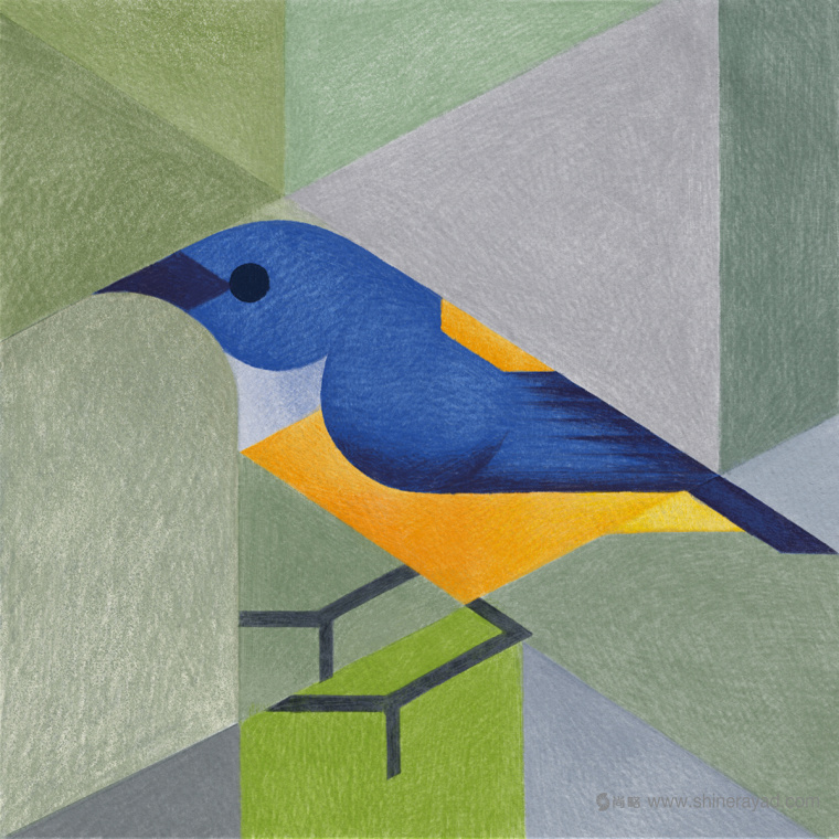 幾何矢量鳥類插畫設(shè)計-上海品牌形象設(shè)計公司10