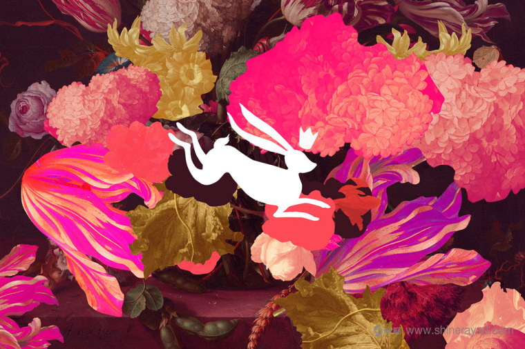 巴洛克美學(xué) DOLCE 面包糕點烘培店品牌VI視覺形象設(shè)計logo設(shè)計-上海烘培餐飲品牌設(shè)計公司2