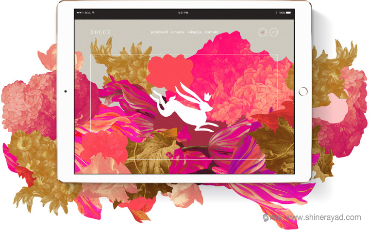 巴洛克美學(xué) DOLCE 面包糕點(diǎn)烘培店品牌VI視覺(jué)形象設(shè)計(jì)-網(wǎng)站設(shè)計(jì)-上海烘培餐飲品牌設(shè)計(jì)公司10