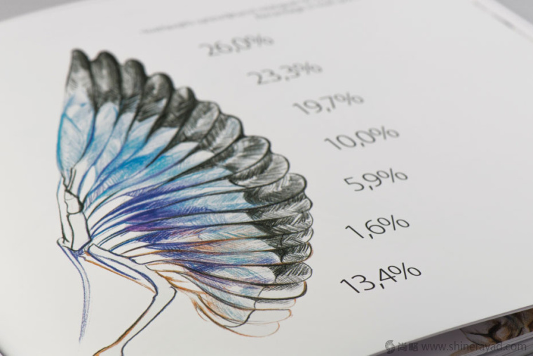 上海畫冊設計公司欣賞拯救瀕臨滅絕動物宣傳畫冊設計與動物藝術插畫設計10 上海畫冊設計公司欣賞拯救瀕臨滅絕動物宣傳畫冊設計與動物藝術插畫設計10