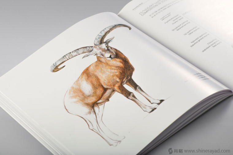 上海畫冊設計公司欣賞拯救瀕臨滅絕動物宣傳畫冊設計與動物藝術插畫設計12 上海畫冊設計公司欣賞拯救瀕臨滅絕動物宣傳畫冊設計與動物藝術插畫設計12