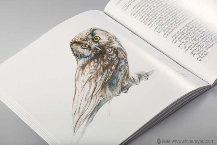 上海畫冊設計公司欣賞拯救瀕臨滅絕動物宣傳畫冊設計與動物藝術插畫設計14 上海畫冊設計公司欣賞拯救瀕臨滅絕動物宣傳畫冊設計與動物藝術插畫設計14