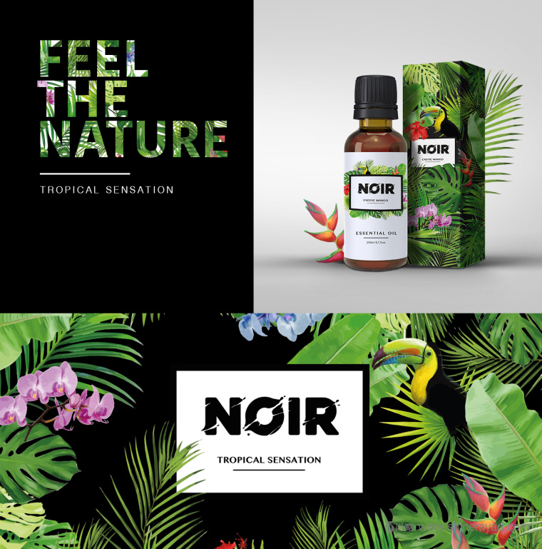 熱帶雨林插畫 NOIR 清潔美容產(chǎn)品化妝品包裝設(shè)計(jì)與品牌形象設(shè)計(jì)-上海品牌設(shè)計(jì)公司3