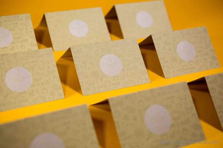 陽(yáng)光菜籃有機(jī)農(nóng)場(chǎng)蔬菜配送快遞服務(wù)品牌VI形象設(shè)計(jì)-上海VI設(shè)計(jì)公司14