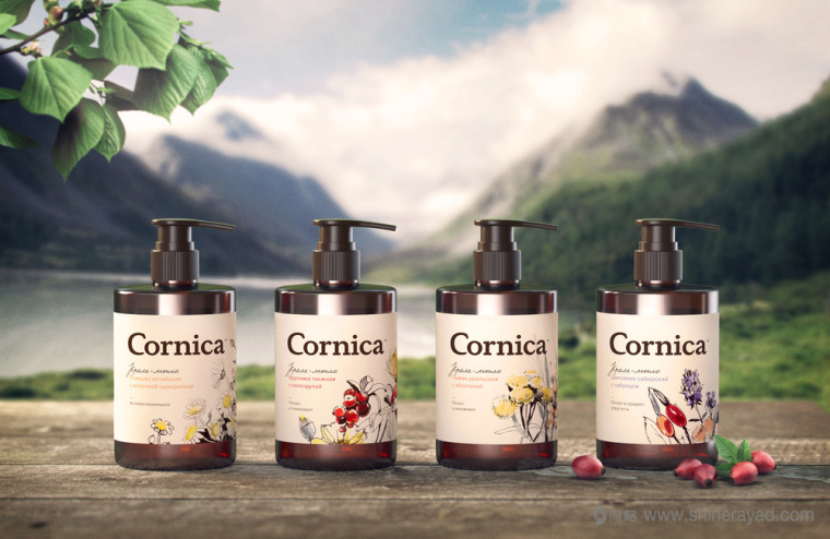 植物素描與水彩插畫CORNICA洗發(fā)水沐浴露清潔衛(wèi)生與天然化妝品包裝設(shè)計-上海包裝設(shè)計公司6 植物素描與水彩插畫CORNICA洗發(fā)水沐浴露清潔衛(wèi)生與天然化妝品包裝設(shè)計-上海包裝設(shè)計公司6