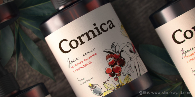 植物素描與水彩插畫CORNICA洗發(fā)水沐浴露清潔衛(wèi)生與天然化妝品包裝設(shè)計-上海包裝設(shè)計公司1 植物素描與水彩插畫CORNICA洗發(fā)水沐浴露清潔衛(wèi)生與天然化妝品包裝設(shè)計-上海包裝設(shè)計公司1