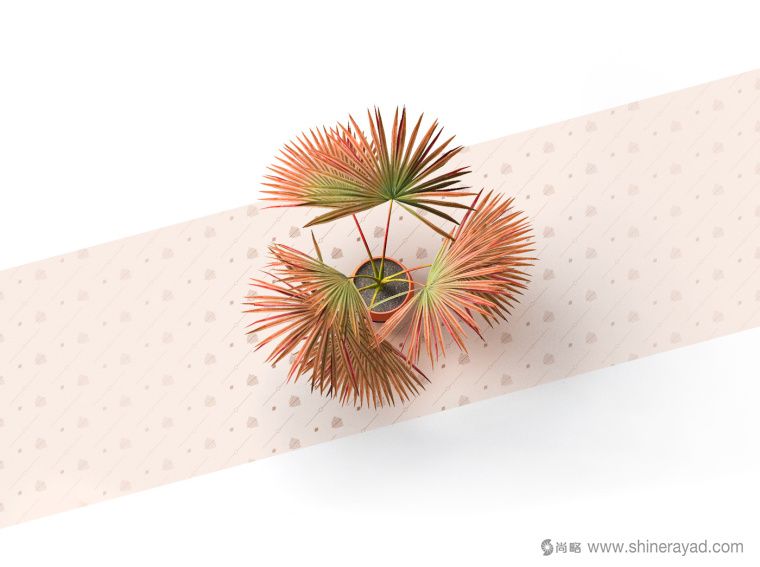 Palmira Group棕櫚樹企業(yè)logo設計VI設計-上海品牌VI設計公司5