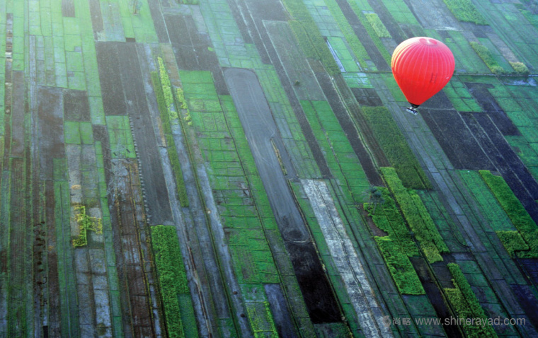 Worldpay 在線(xiàn)支付平面宣傳畫(huà)冊(cè)物料設(shè)計(jì)平面廣告設(shè)計(jì)-上海廣告設(shè)計(jì)公司2 Worldpay 在線(xiàn)支付平面宣傳畫(huà)冊(cè)物料設(shè)計(jì)平面廣告設(shè)計(jì)-上海廣告設(shè)計(jì)公司2