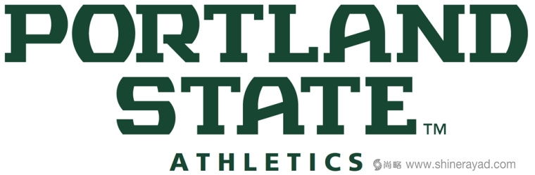 vikings 橄欖球俱樂部logo設(shè)計(jì)－上海logo設(shè)計(jì)公司3