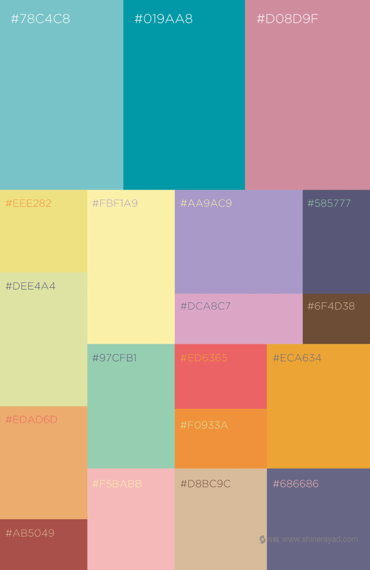 印度 Tea Trunk 茶葉品牌配色設(shè)計(jì)-上海品牌設(shè)計(jì)公司4