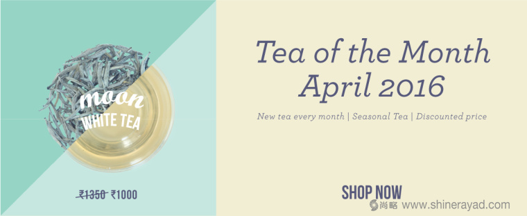 印度 Tea Trunk 茶葉品牌小象吉祥物包裝設(shè)計(jì)-上海包裝設(shè)計(jì)公司14